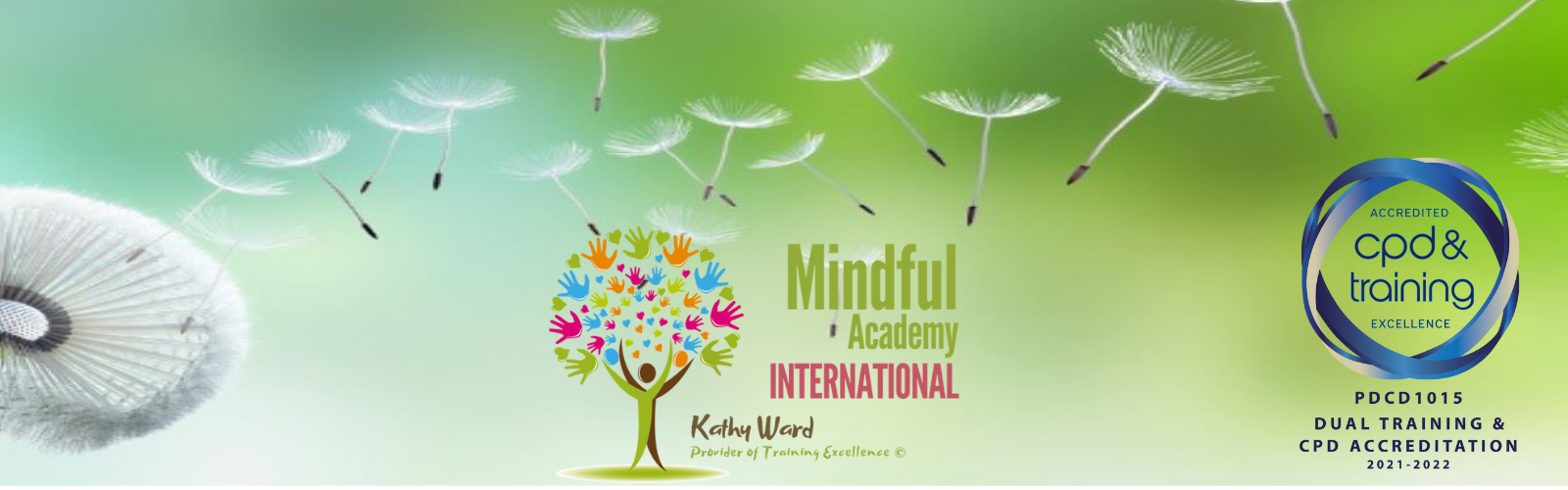 Mindful Academy International