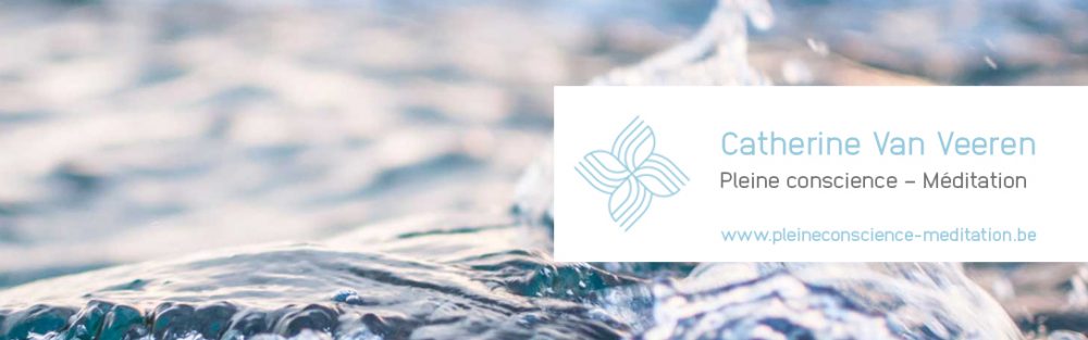 Catherine Van Veeren